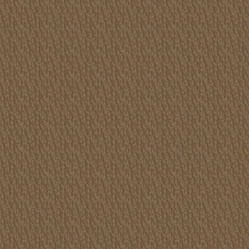 Delano carpet by Dixie Home
