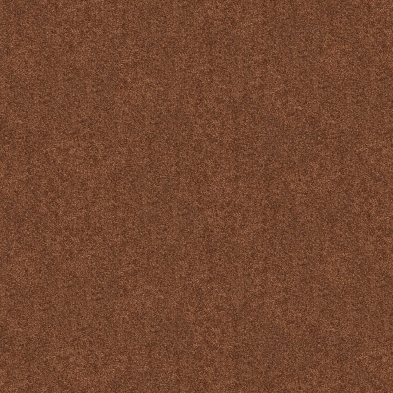 Inspiring carpet by Dixie Home