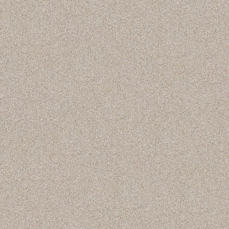 Top Dog carpet by Dixie Home