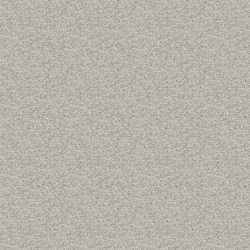 Balance carpet by Dixie Home