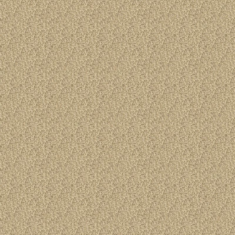 Color Festival carpet by Dixie Home