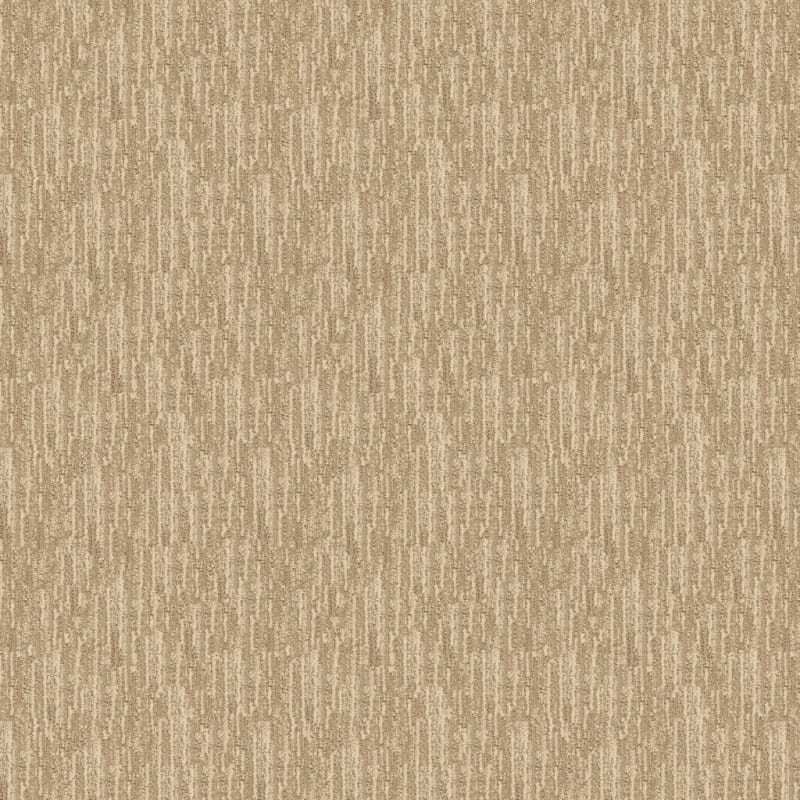 Envy carpet by Dixie Home