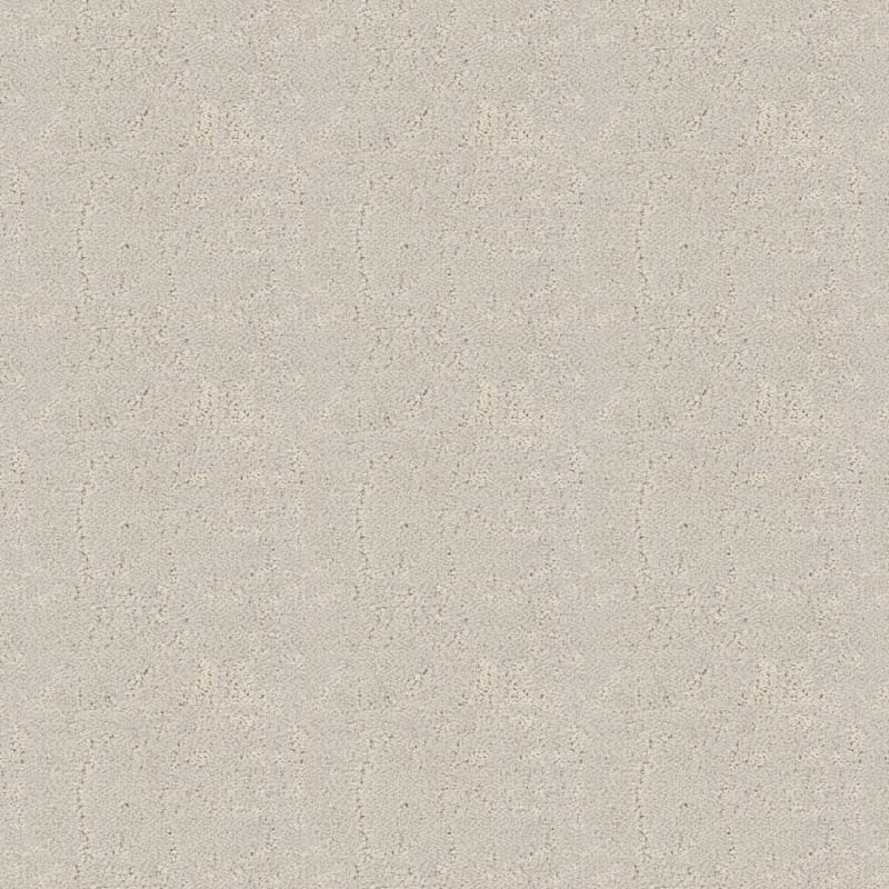 Shelter carpet by Dixie Home