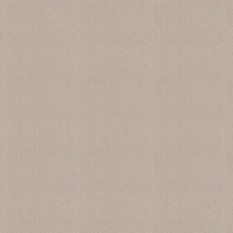 Dx300 carpet by Dixie Home