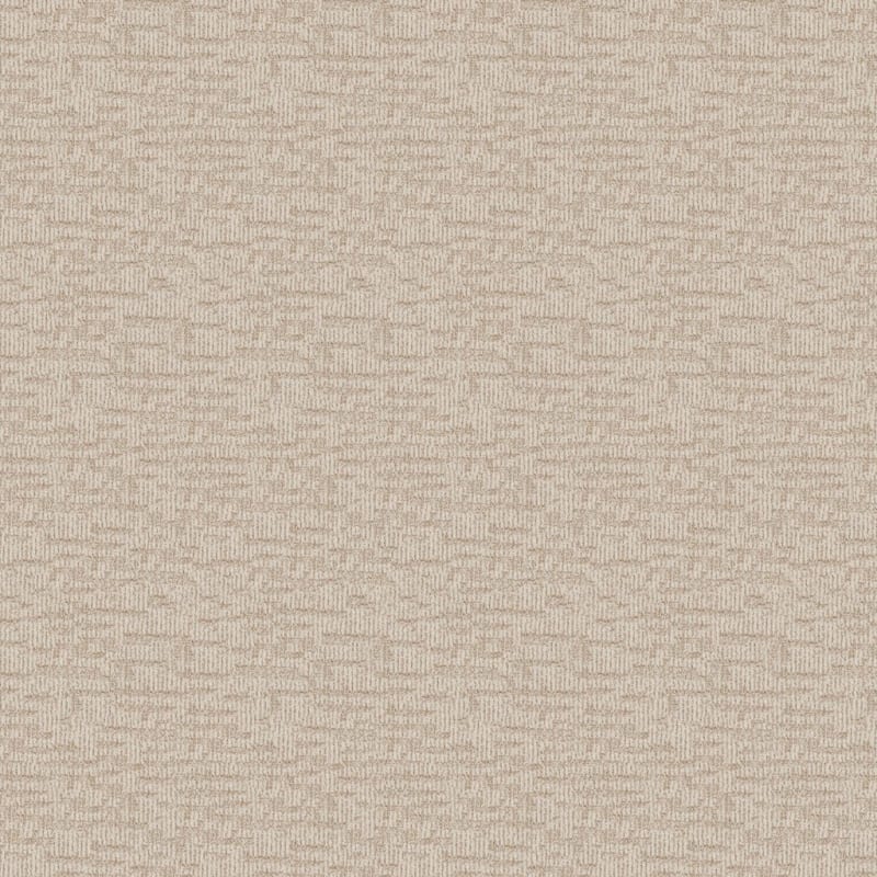 Template carpet by Dixie Home