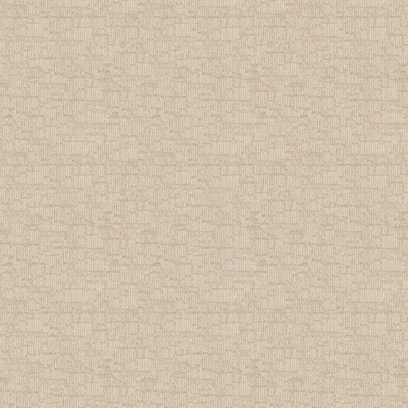 Template carpet by Dixie Home