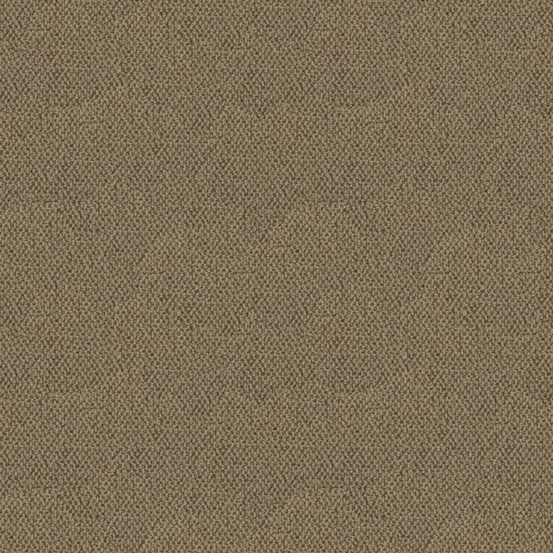 Authentic Living carpet by Dixie Home