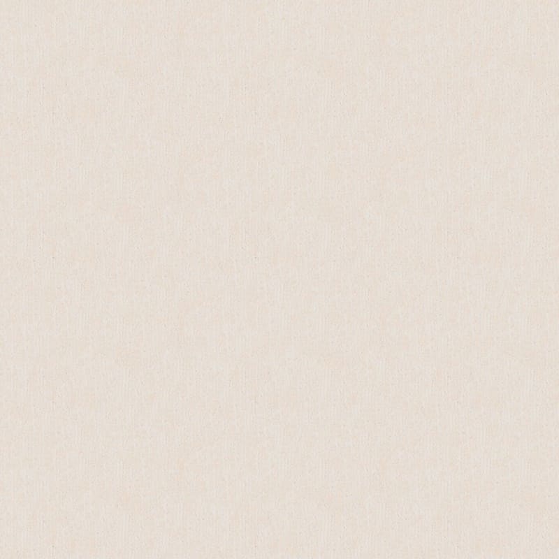 Teton carpet by Dixie Home