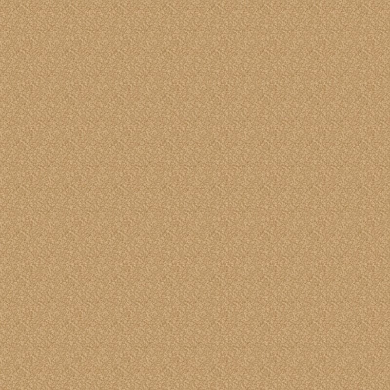Innovations carpet by Dixie Home