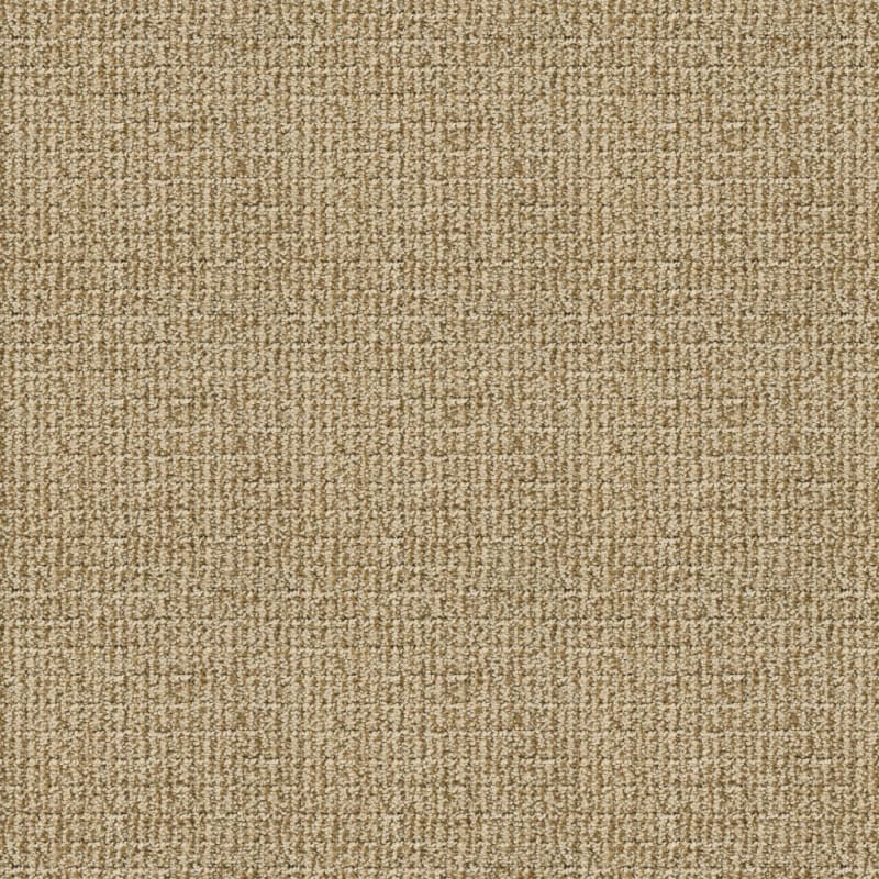 Modern Art carpet by Dixie Home