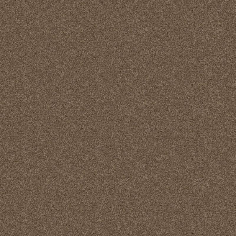 Labrador carpet by Dixie Home
