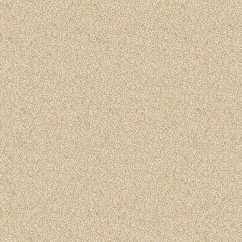 Spirit carpet by Dixie Home