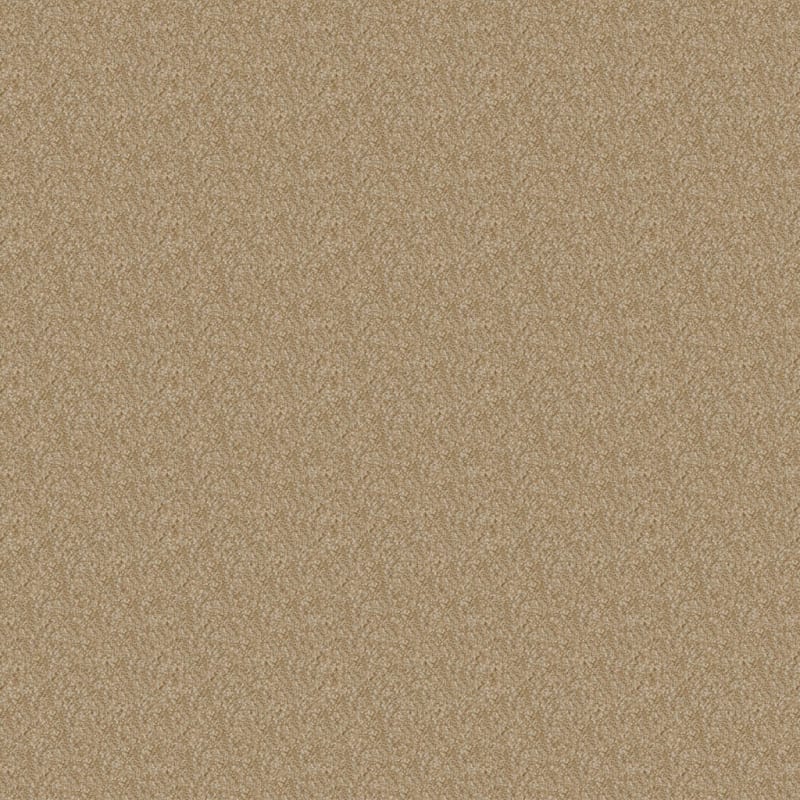 Heart's Content carpet by Dixie Home