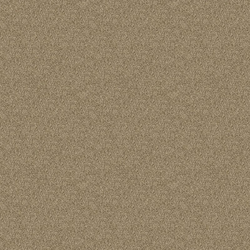 New Age carpet by Dixie Home
