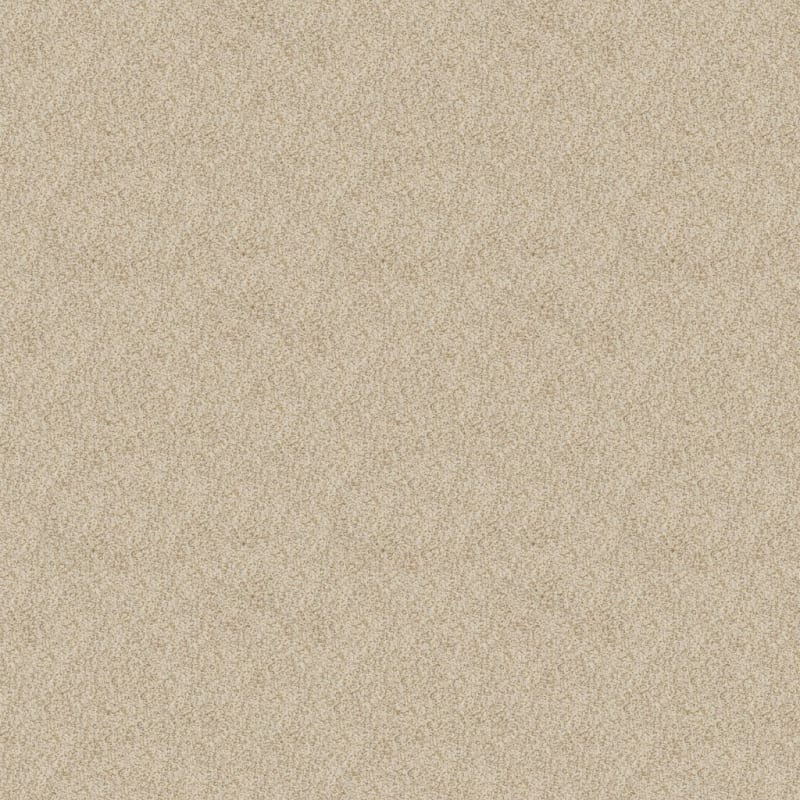 New Age carpet by Dixie Home