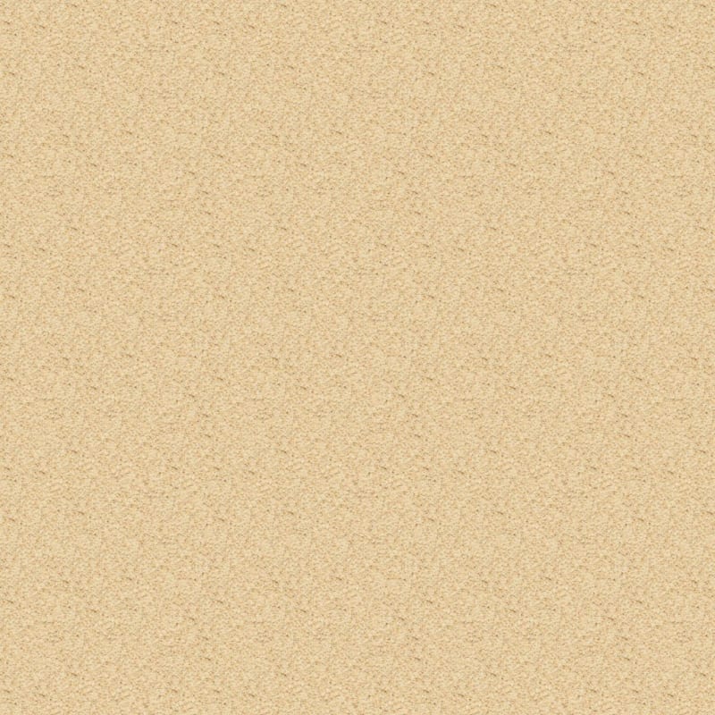 Rochelle carpet by Dixie Home
