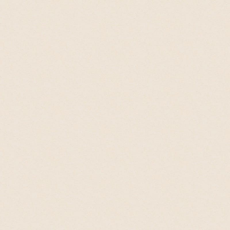 Delight carpet by Dixie Home
