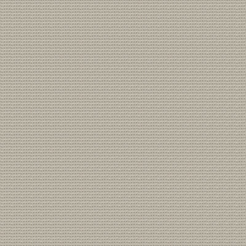 Rock Creek carpet by Dixie Home