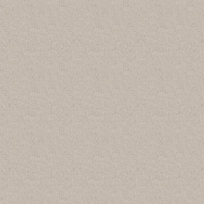Admiration carpet by Dixie Home