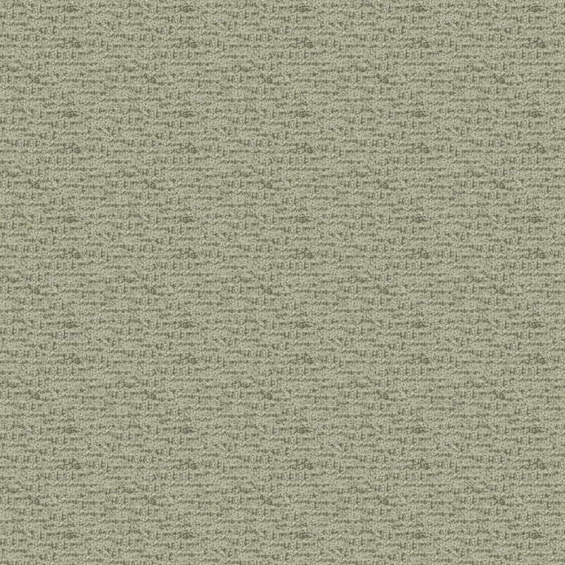 Expressions carpet by Dixie Home
