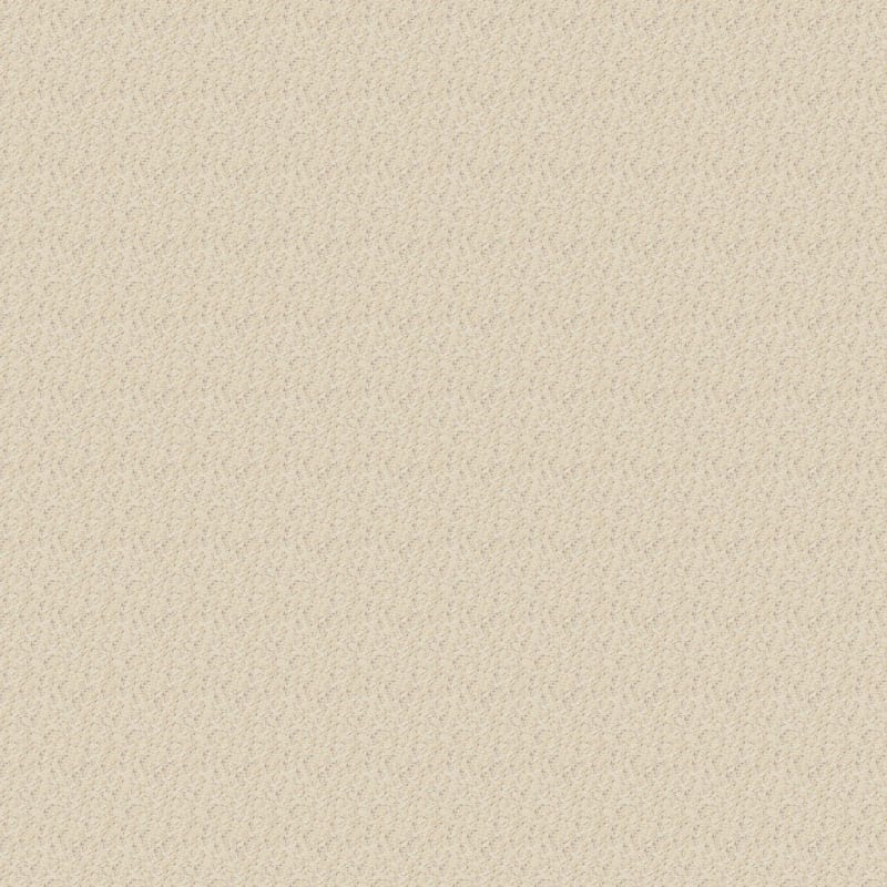 Star Power carpet by Dixie Home