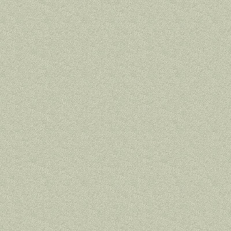 Inspiring carpet by Dixie Home