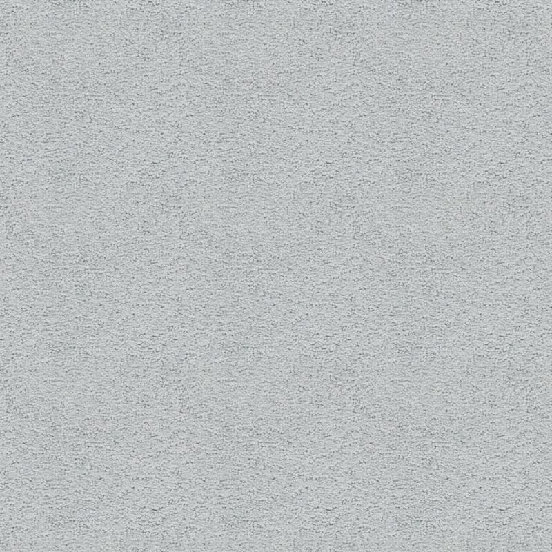 Prize Winner carpet by Dixie Home