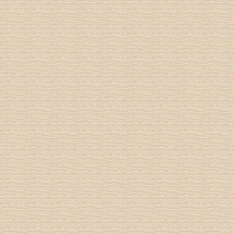 Expressions carpet by Dixie Home