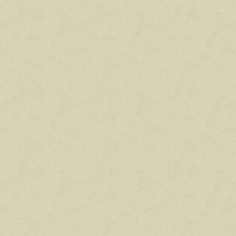 Inspiring carpet by Dixie Home