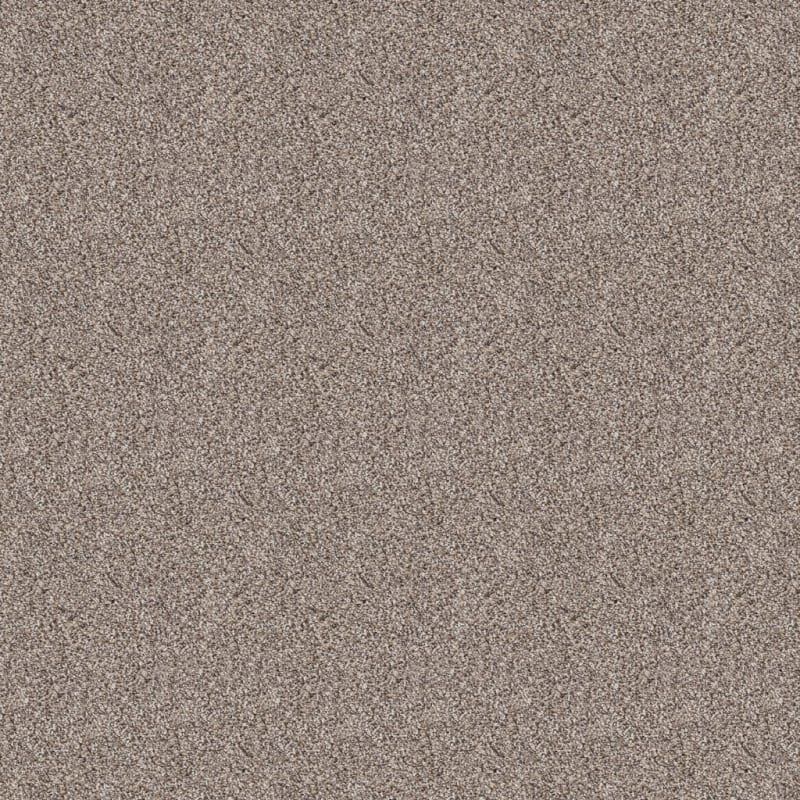 Saint Bernard carpet by Dixie Home