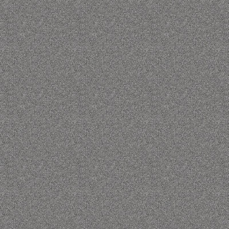 Dx840 carpet by Dixie Home