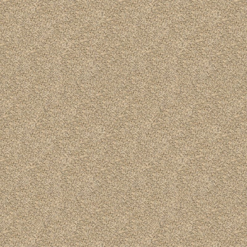 Rochelle carpet by Dixie Home