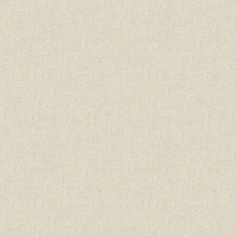 Balance carpet by Dixie Home