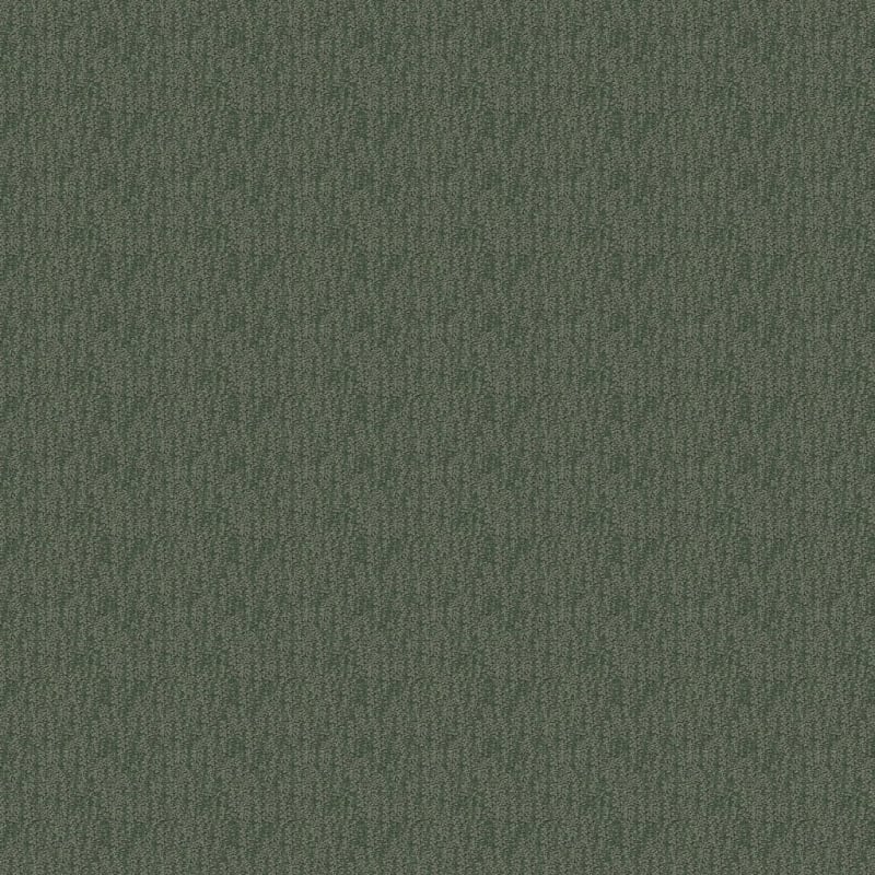 Attributes carpet by Dixie Home
