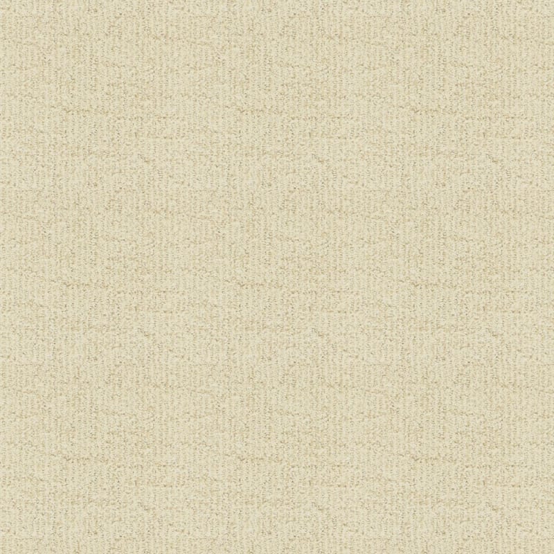 Victor carpet by Dixie Home