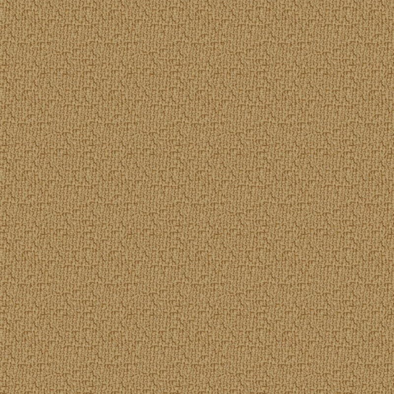 Boston Common carpet by Dixie Home