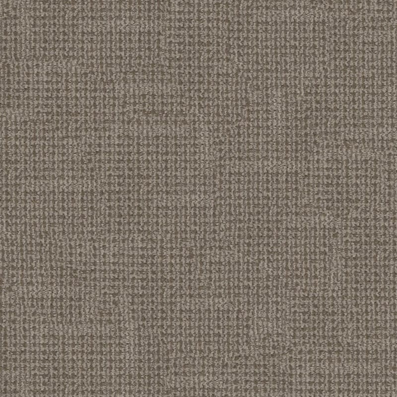 Tabby carpet by Dixie Home