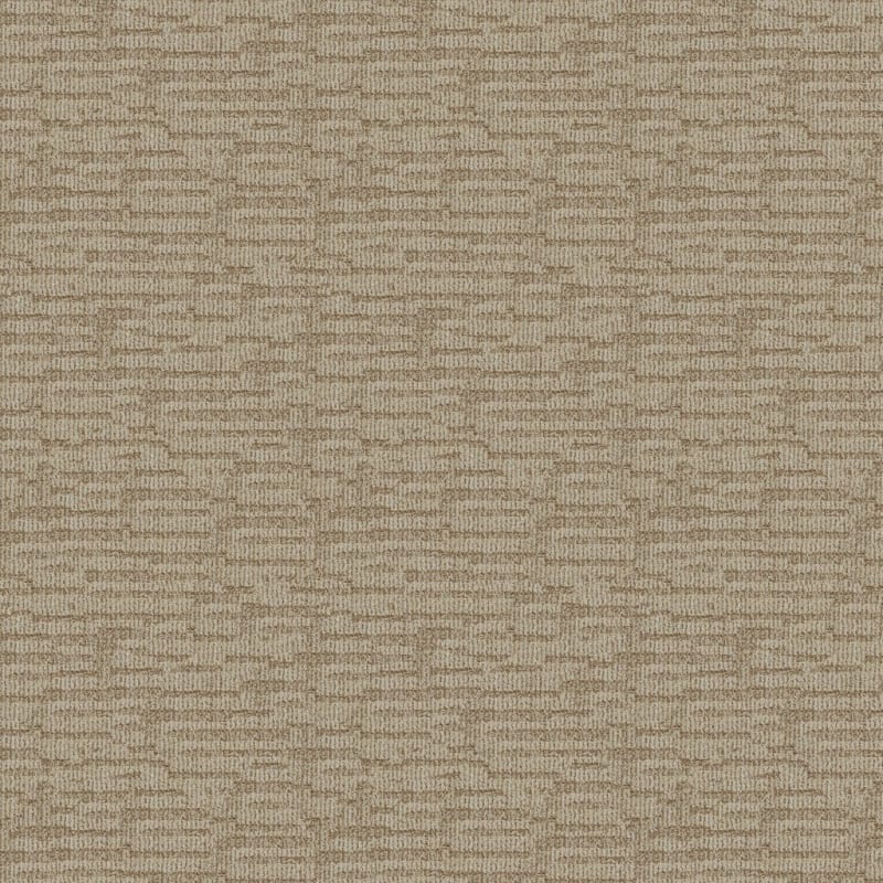 Template carpet by Dixie Home