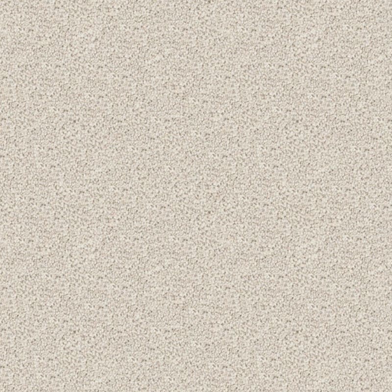 Great Dane carpet by Dixie Home
