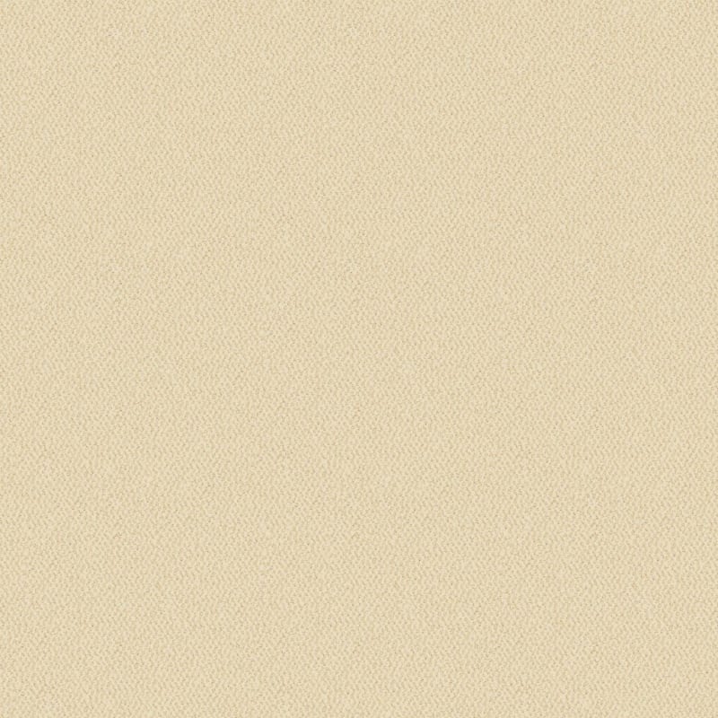 Hideaway carpet by Dixie Home