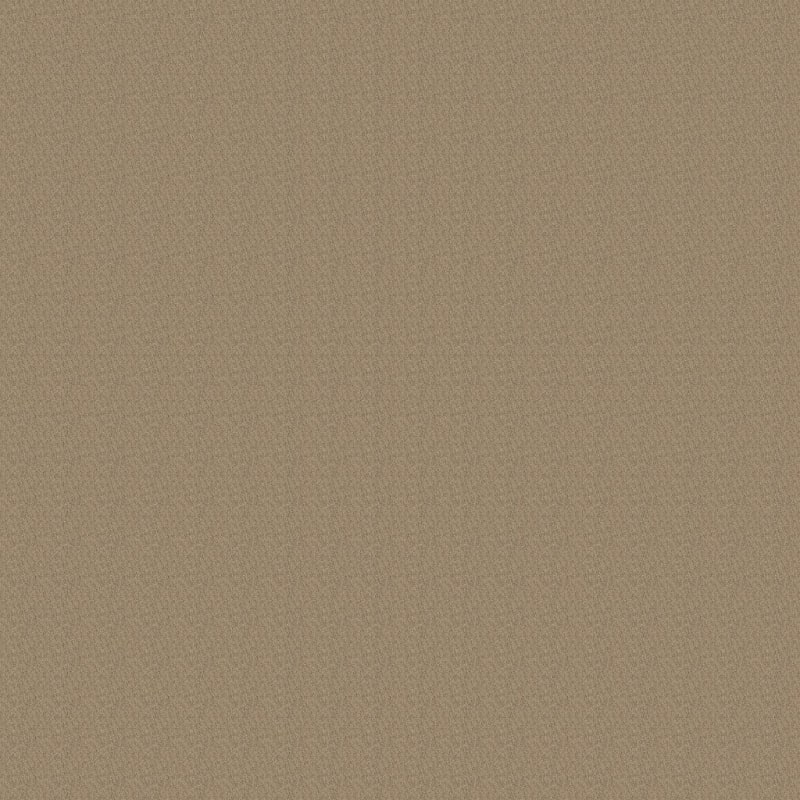 Legit carpet by Dixie Home