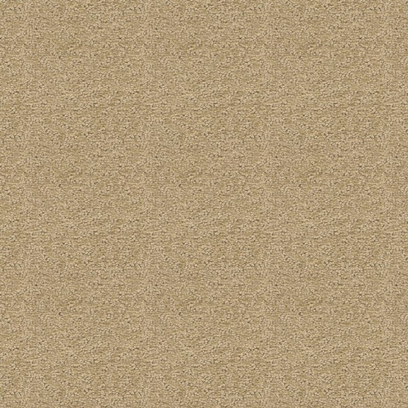 Prize Winner carpet by Dixie Home