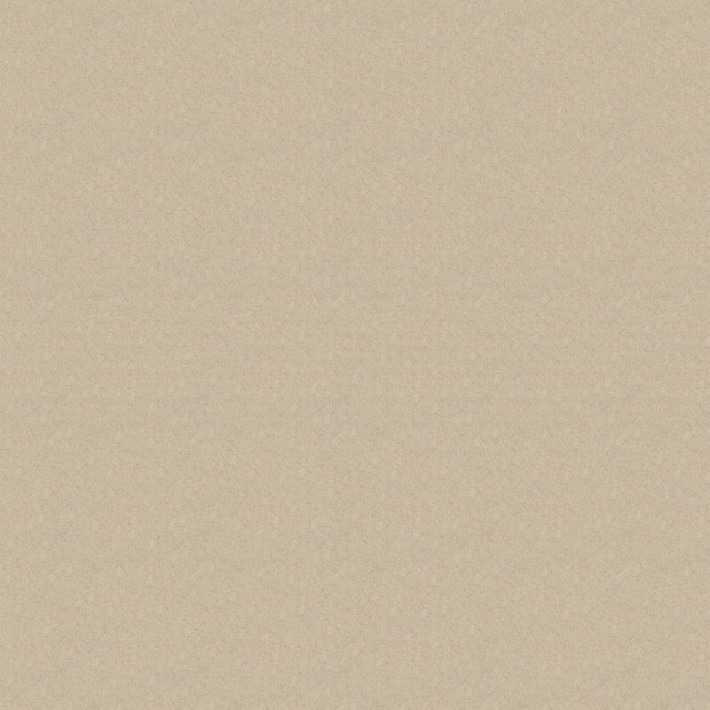 Legit carpet by Dixie Home