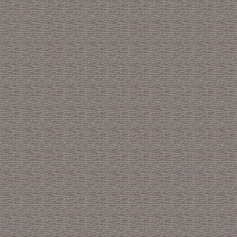Expressions carpet by Dixie Home