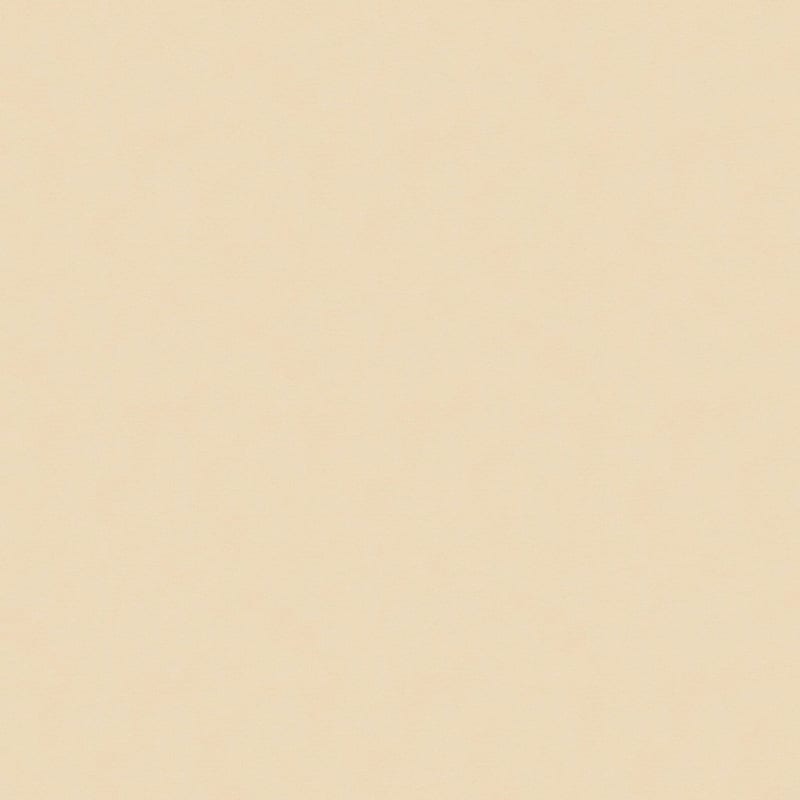 Grand Isle carpet by Dixie Home