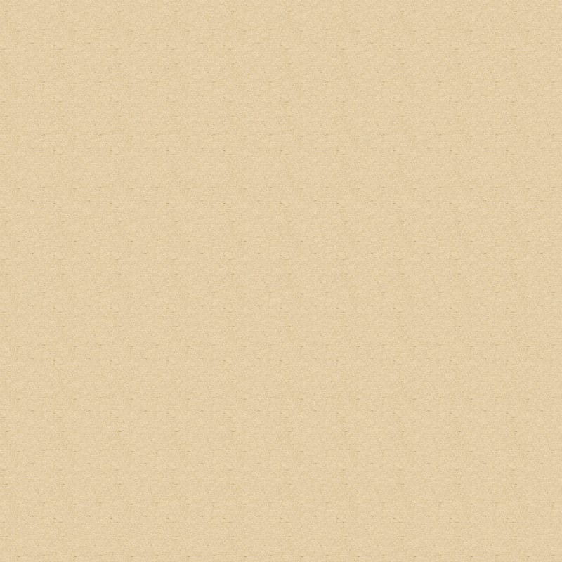 Colorworks carpet by Dixie Home