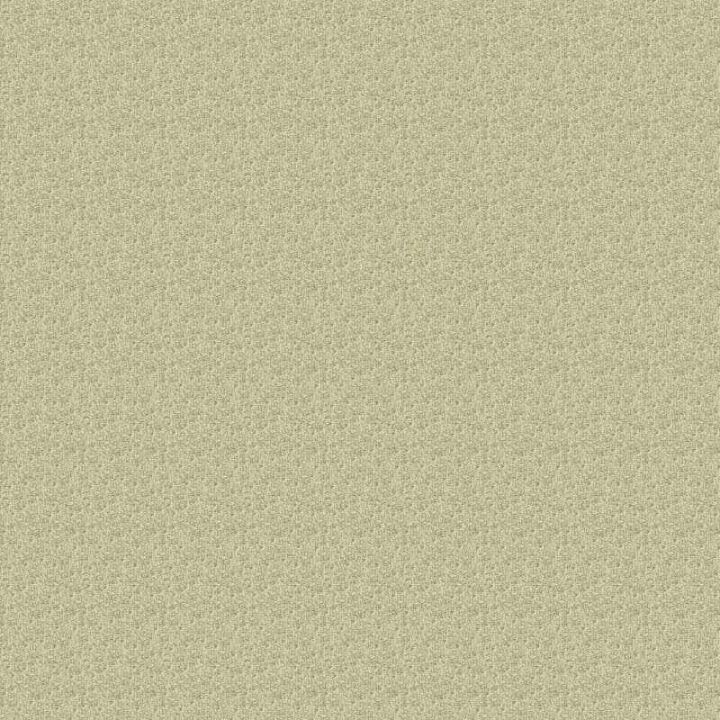 Aspects carpet by Dixie Home