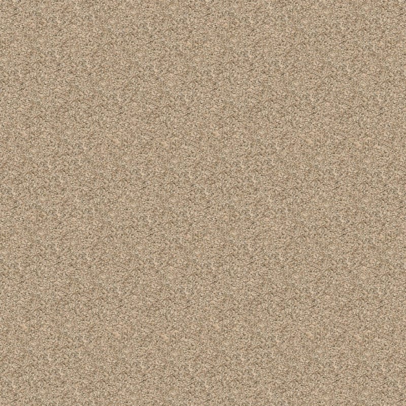 Rochelle carpet by Dixie Home