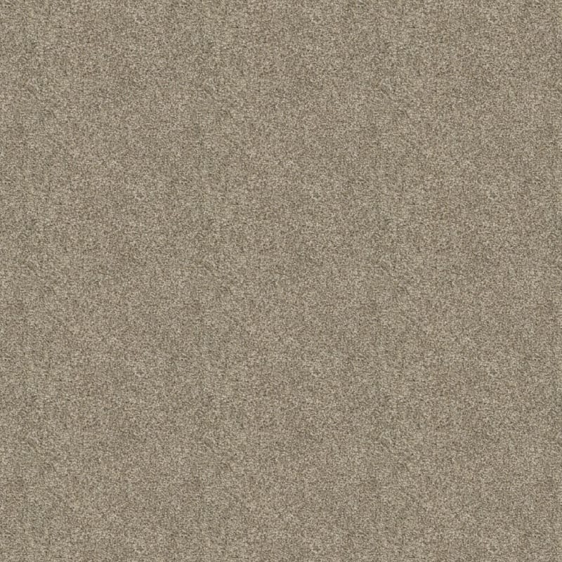 Tactics carpet by Dixie Home