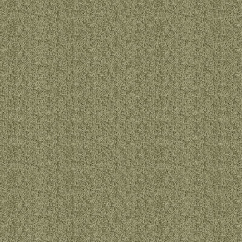 Aspects carpet by Dixie Home